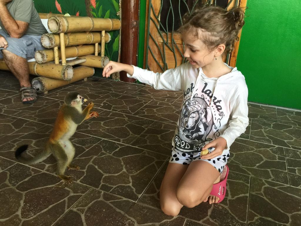 Jungle Villa Manuel Antonio Dış mekan fotoğraf