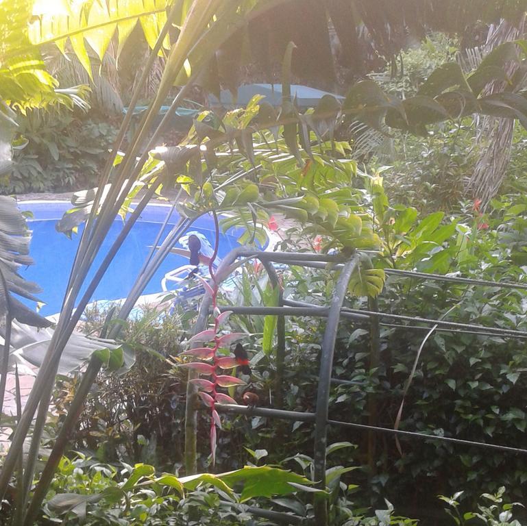 Jungle Villa Manuel Antonio Dış mekan fotoğraf
