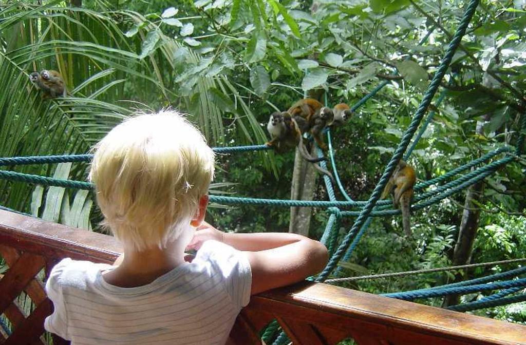 Jungle Villa Manuel Antonio Dış mekan fotoğraf