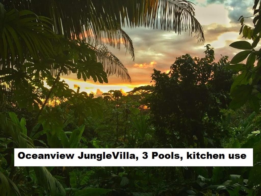 Jungle Villa Manuel Antonio Dış mekan fotoğraf