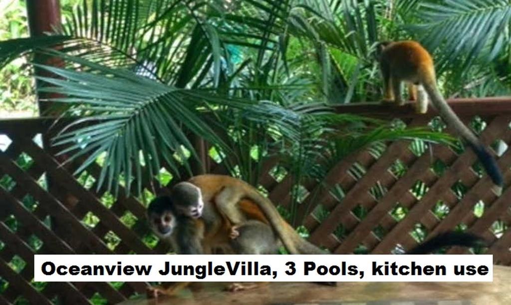 Jungle Villa Manuel Antonio Dış mekan fotoğraf