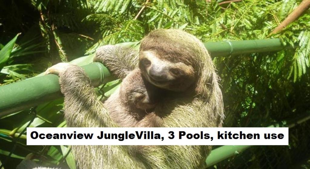 Jungle Villa Manuel Antonio Dış mekan fotoğraf